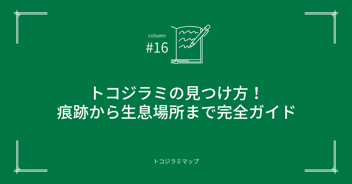 トコジラミの見つけ方！痕跡から生息場所まで完全ガイド